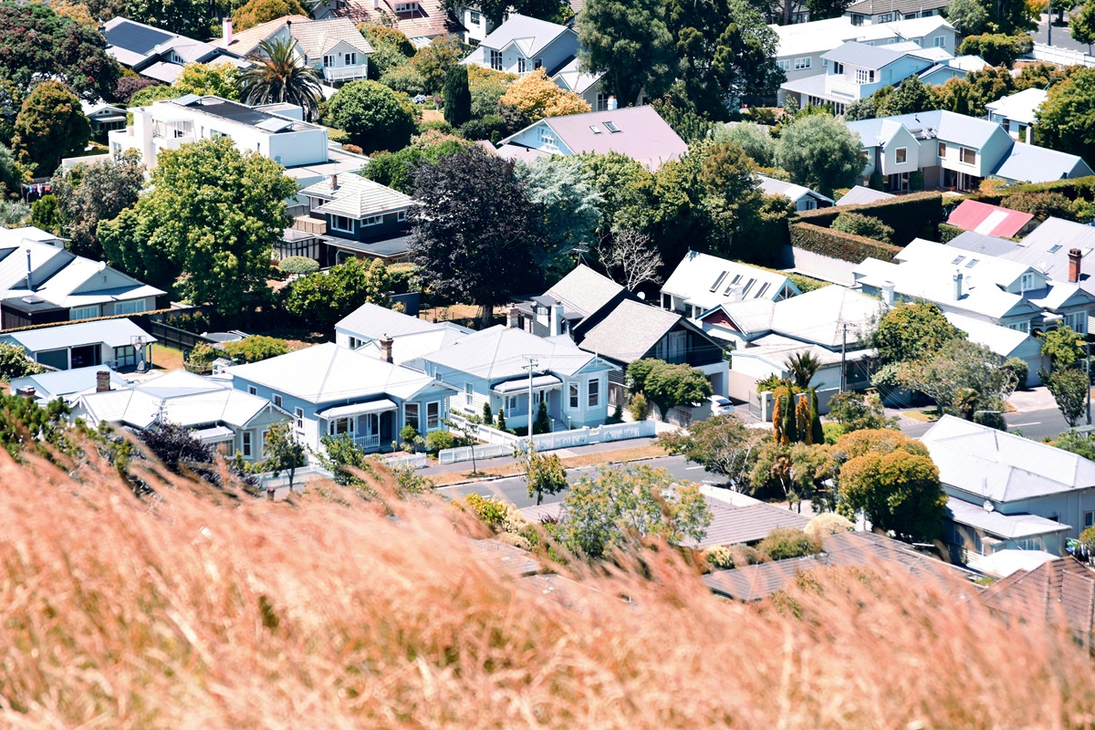 Auckland 1 Auckland 1